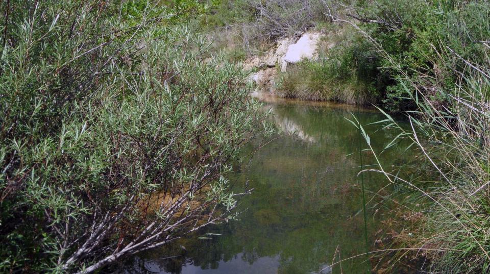 coin baignade
